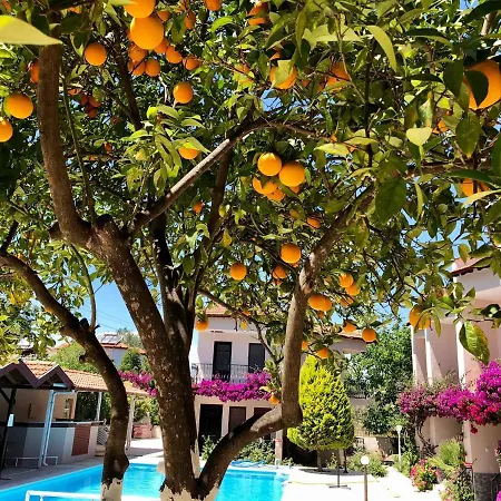 Villa Dalyan Arda Villas Dalyan